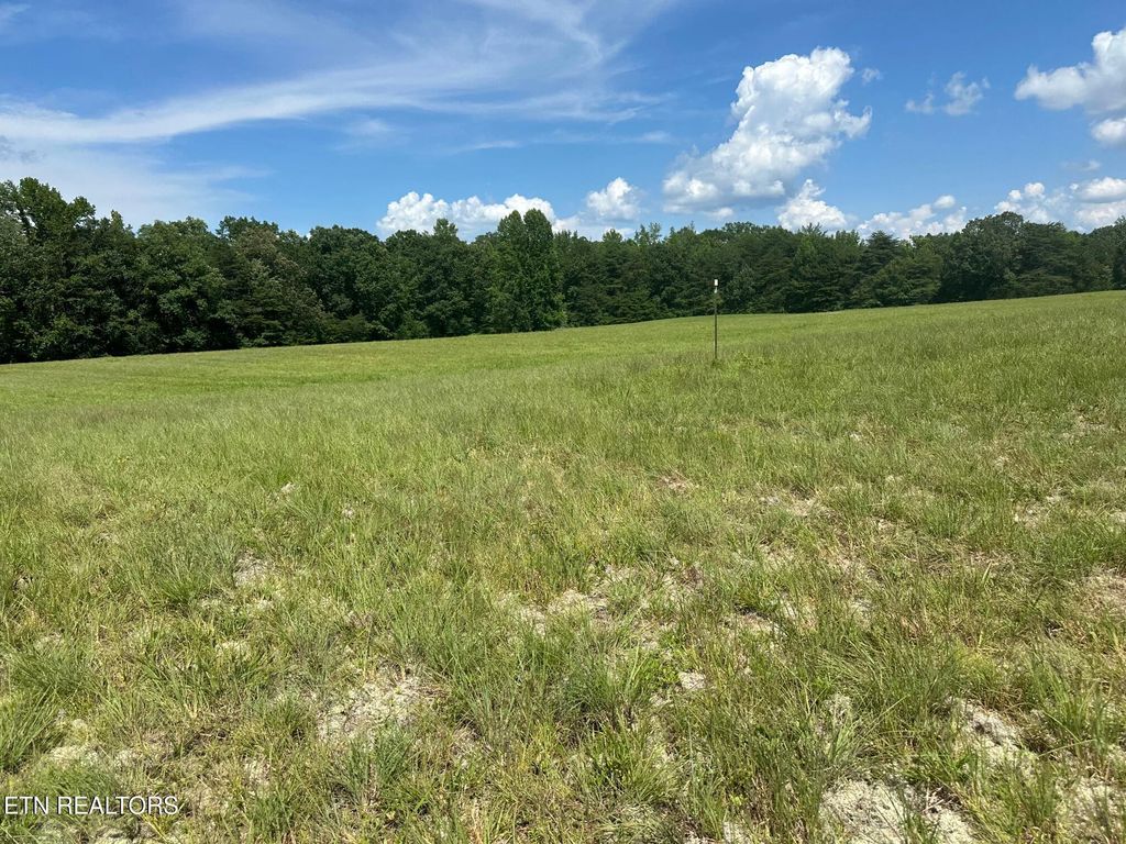 Photo of 18 McCabe Rd, Spring City, TN 37381 (MLS # 1308681)