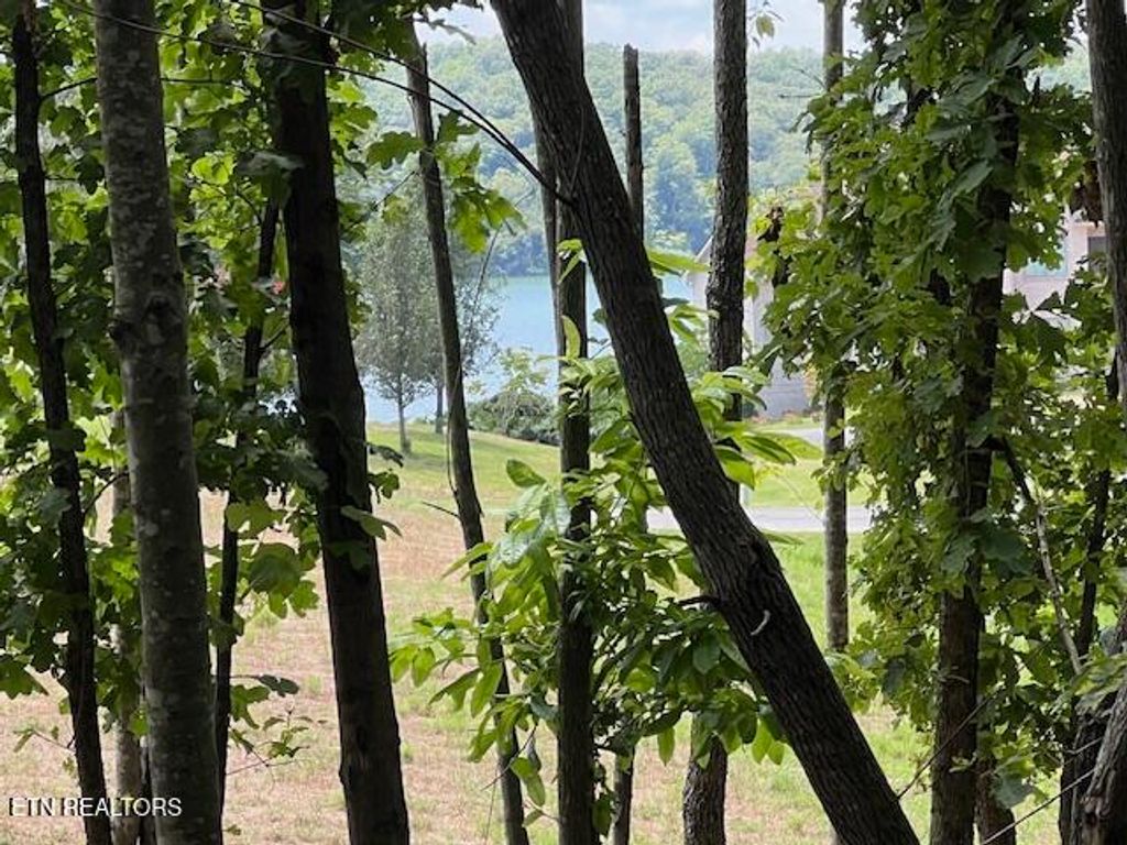 Photo of Thief Neck View Drive, Rockwood, TN 37854 (MLS # 1297131)