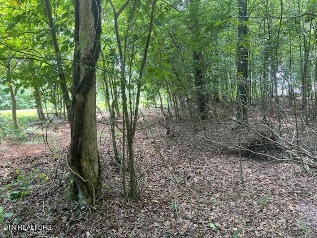 Photo of Thief Neck View Drive, Rockwood, TN 37854 (MLS # 1297131)