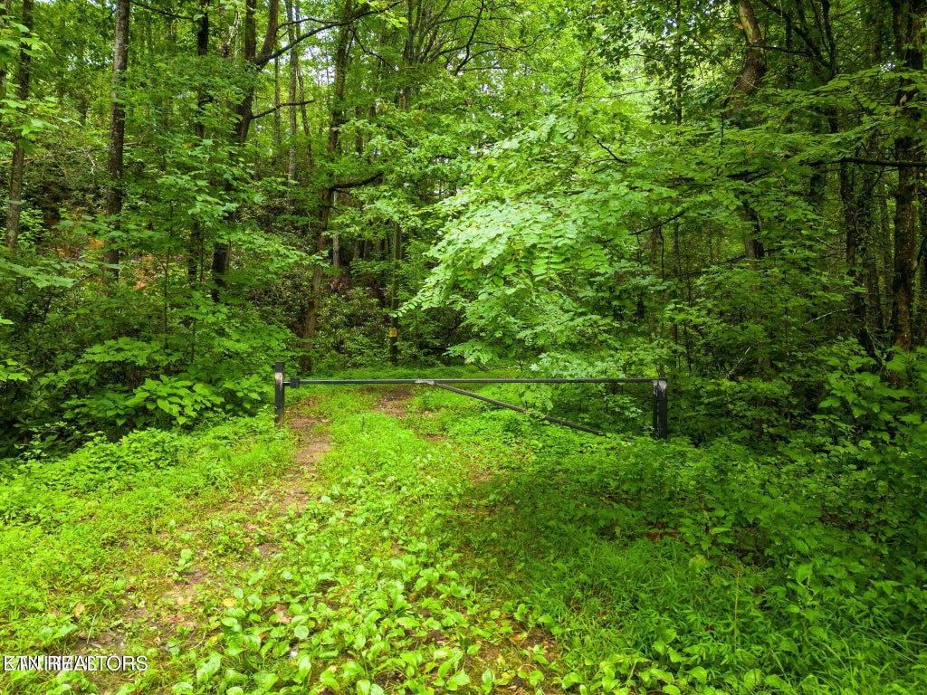 Photo of Sycamore St, Sevierville, TN 37876 (MLS # 1355243)