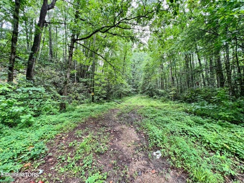 Photo of Sycamore St, Sevierville, TN 37876 (MLS # 1355243)