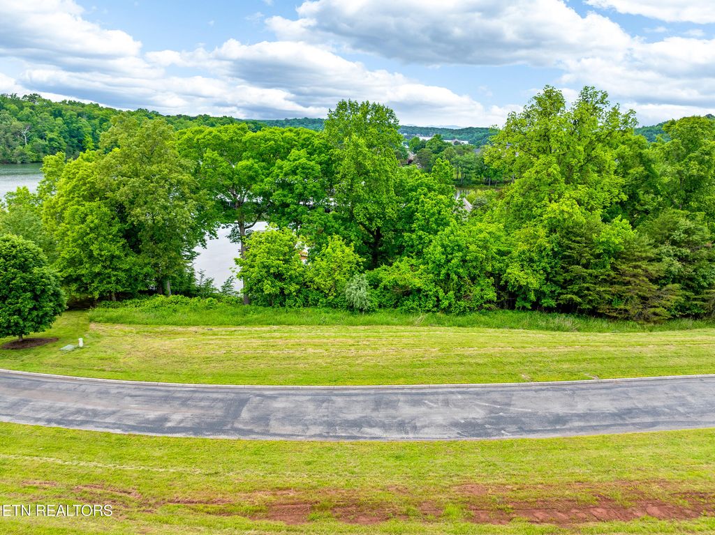 Photo of 201 White Swan Drive, Vonore, TN 37885 (MLS # 1301139)