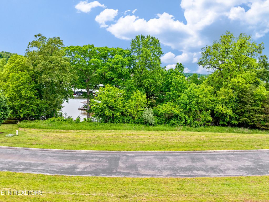 Photo of 201 White Swan Drive, Vonore, TN 37885 (MLS # 1301139)