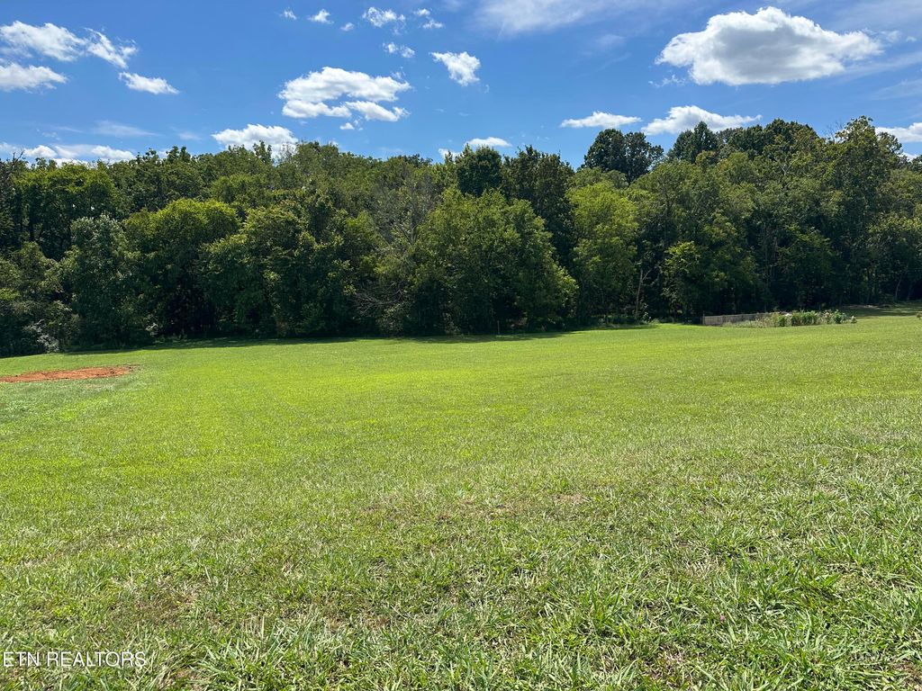 Photo of 614 Winding Creek Way, Walland, TN 37886 (MLS # 1313270)