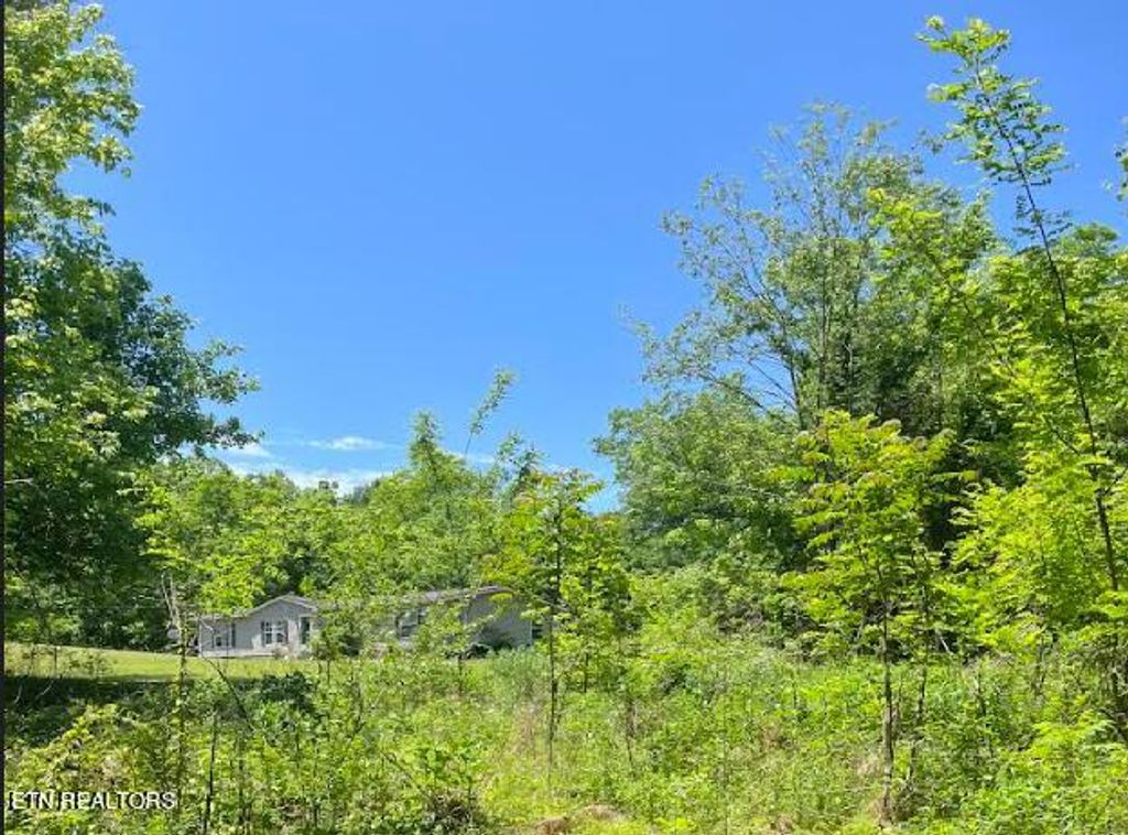 Photo of 6 Cloyds Church Rd, Greenback, TN 37742 (MLS # 1261361)