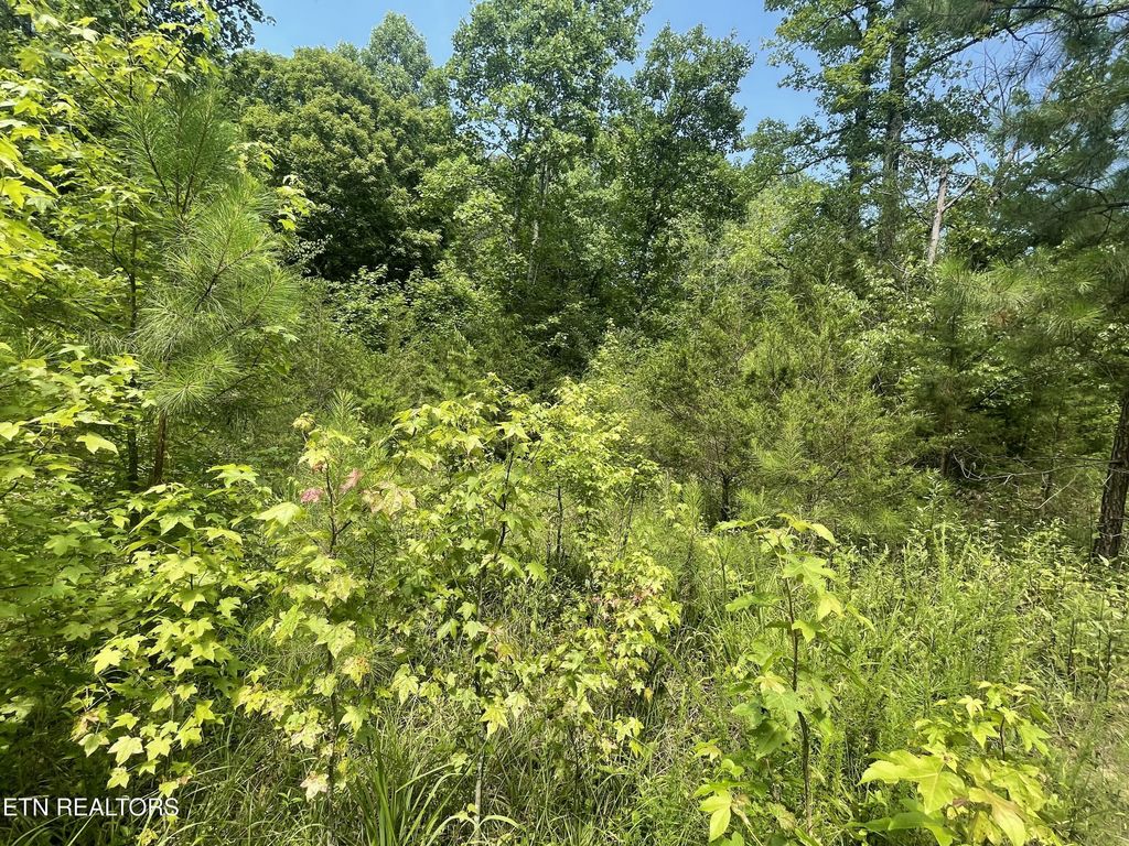 Photo of 282 County Road 285, Niota, TN 37826 (MLS # 1307574)