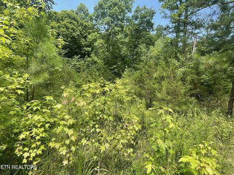 Tiny photo for 282 County Road 285, Niota, TN 37826 (MLS # 1307574)