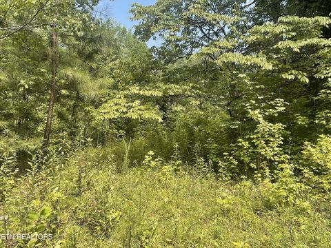 Tiny photo for 282 County Road 285, Niota, TN 37826 (MLS # 1307574)