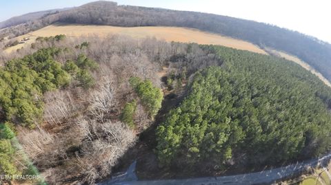 Tiny photo for 282 County Road 285, Niota, TN 37826 (MLS # 1307574)