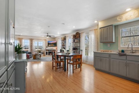 Tiny photo for 3304 Buck Horn Rd, Sevierville, TN 37876 (MLS # 1331732)