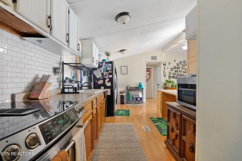 Tiny photo for 3304 Buck Horn Rd, Sevierville, TN 37876 (MLS # 1331732)