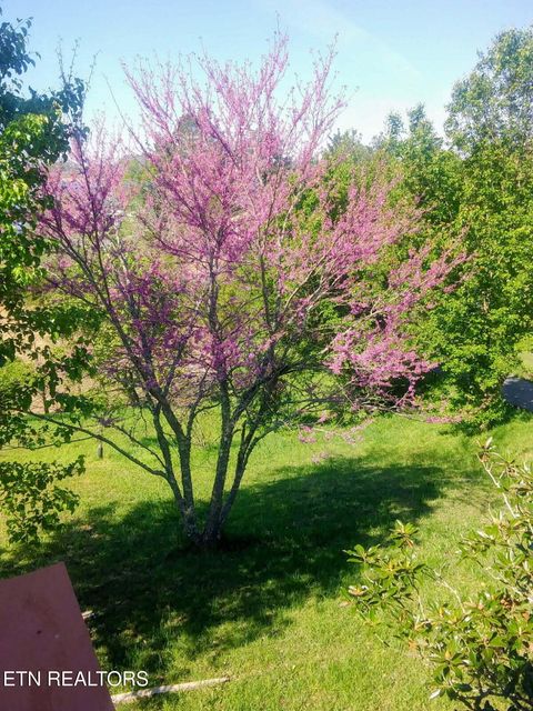 Tiny photo for 1381 Lake Front Drive, Dandridge, TN 37725 (MLS # 1337644)