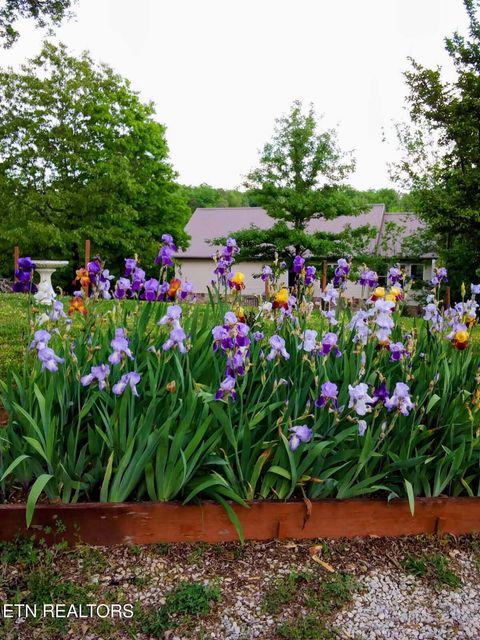 Tiny photo for 1381 Lake Front Drive, Dandridge, TN 37725 (MLS # 1337644)