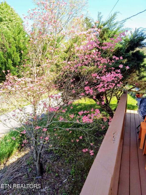 Tiny photo for 1381 Lake Front Drive, Dandridge, TN 37725 (MLS # 1337644)