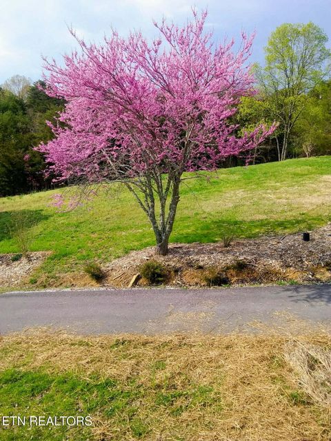 Tiny photo for 1381 Lake Front Drive, Dandridge, TN 37725 (MLS # 1337644)