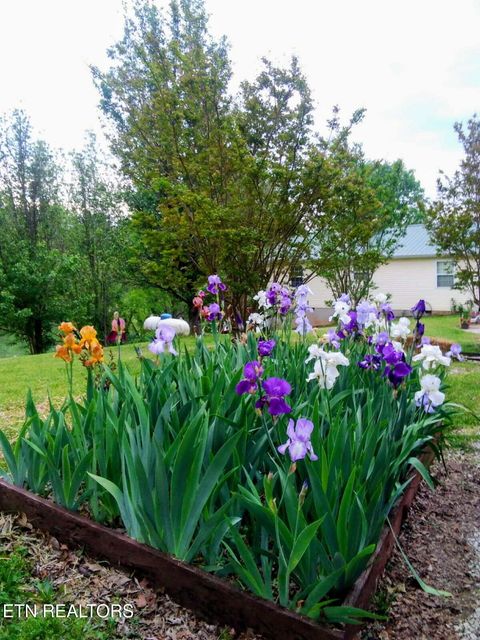 Tiny photo for 1381 Lake Front Drive, Dandridge, TN 37725 (MLS # 1337644)