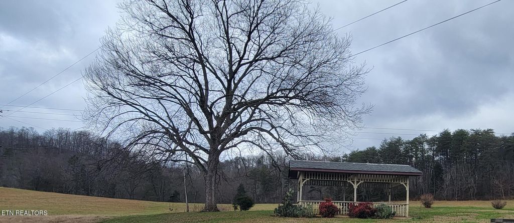 Photo of 316 Anderson Rd, Sweetwater, TN 37874 (MLS # 1323966)