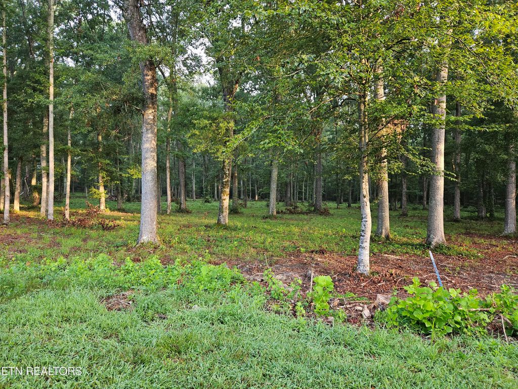 Photo of 5 Deerwood Drive, Dandridge, TN 37725 (MLS # 1251772)