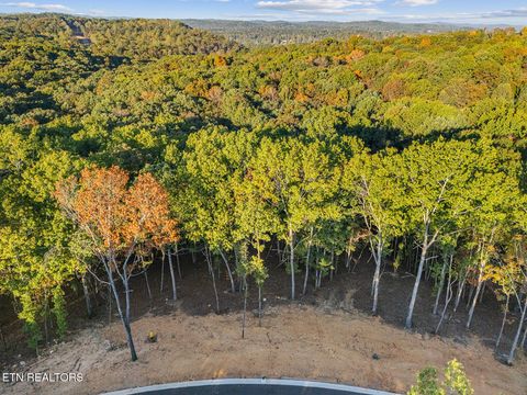 Tiny photo for 227 Flip Flop Way, Loudon, TN 37774 (MLS # 1319084)