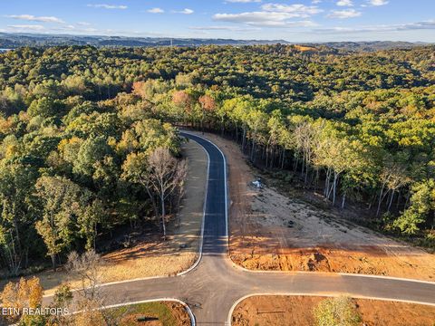 Tiny photo for 227 Flip Flop Way, Loudon, TN 37774 (MLS # 1319084)