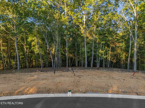 Tiny photo for 227 Flip Flop Way, Loudon, TN 37774 (MLS # 1319084)