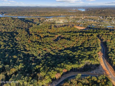 Tiny photo for 227 Flip Flop Way, Loudon, TN 37774 (MLS # 1319084)