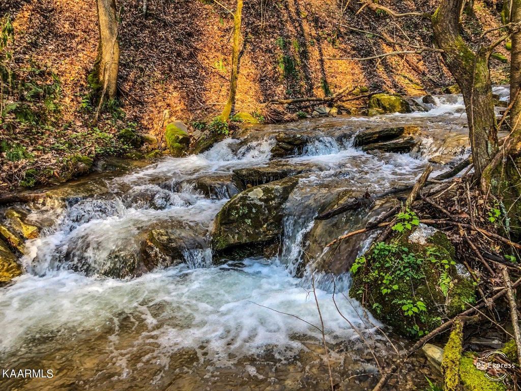 Photo of 1976 Carrs Creek +/- 22.87 acres Rd, Townsend, TN 37882 (MLS # 1204654)