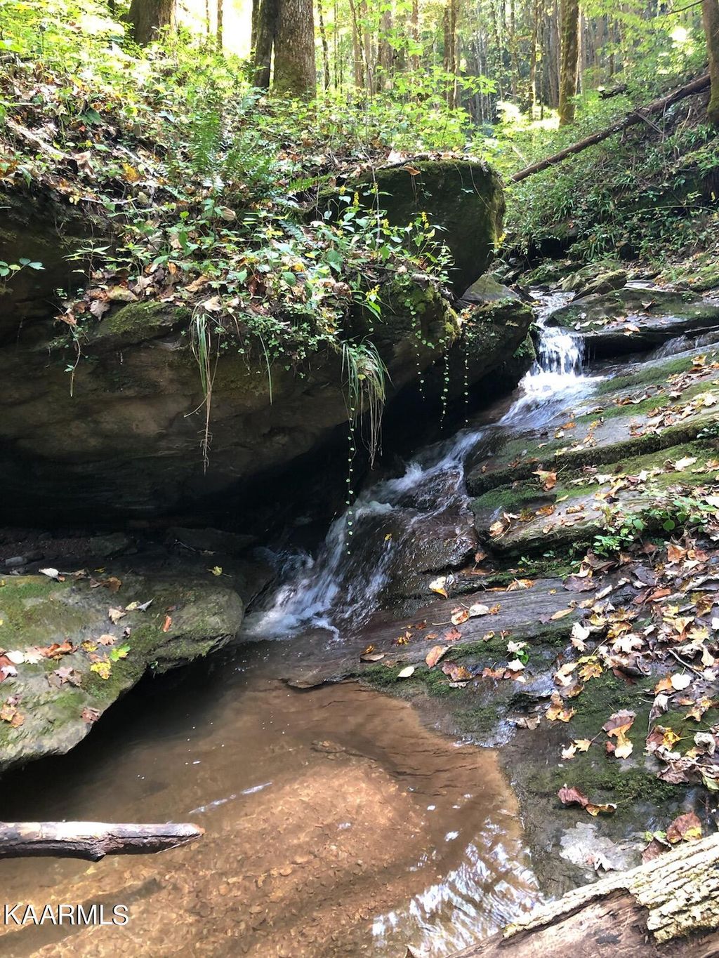 Photo of 1976 Carrs Creek +/- 22.87 acres Rd, Townsend, TN 37882 (MLS # 1204654)