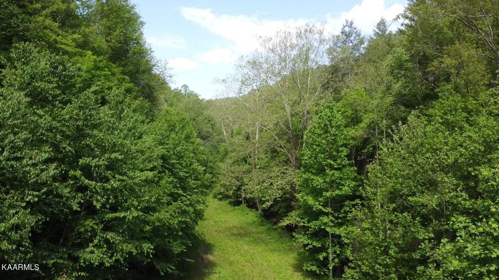 Photo of 1976 Carrs Creek +/- 22.87 acres Rd, Townsend, TN 37882 (MLS # 1204654)