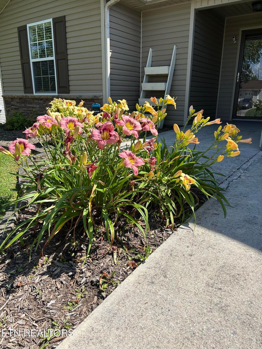 Photo of 7626 Stonewood Creek Drive, Corryton, TN 37721 (MLS # 1295956)