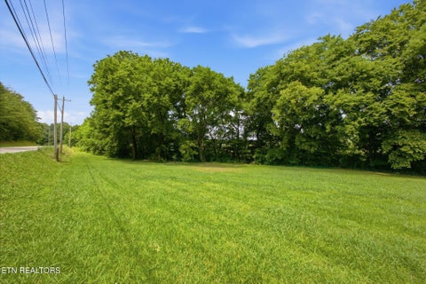 Tiny photo for 817 Highway 160, Newport, TN 37821 (MLS # 1346656)
