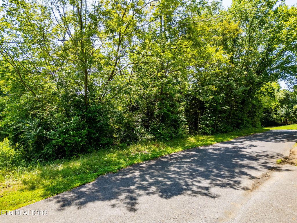 Photo of Lot 7 Jeffrey Lane, Talbott, TN 37877 (MLS # 1310140)