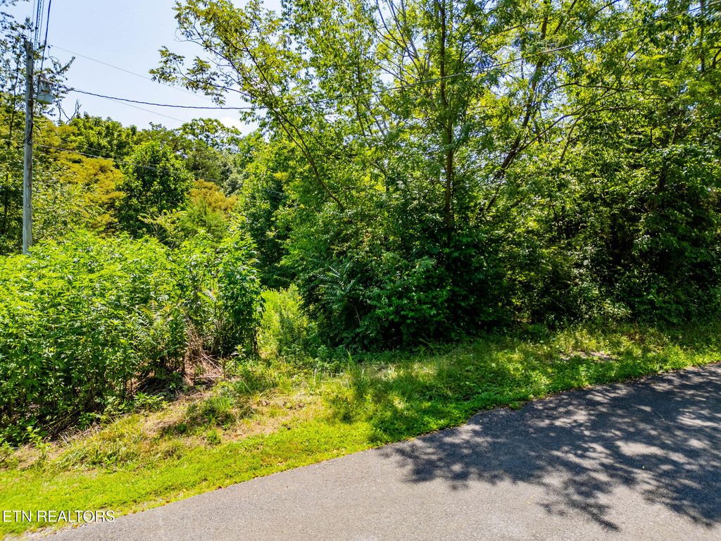 Photo of Lot 7 Jeffrey Lane, Talbott, TN 37877 (MLS # 1310140)