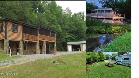 1026 Blue Mill Rd Del Rio TN 37727