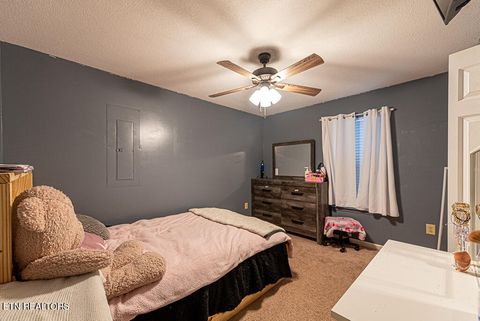 Tiny photo for 1063 Mount Carmel Rd, Decatur, TN 37322 (MLS # 1316461)