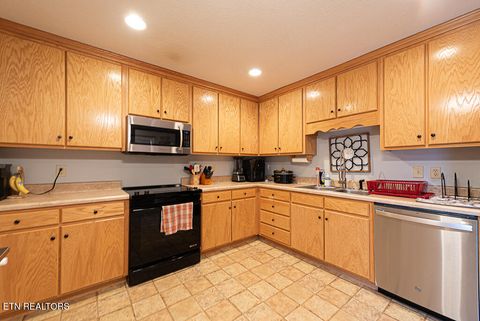 Tiny photo for 1063 Mount Carmel Rd, Decatur, TN 37322 (MLS # 1316461)