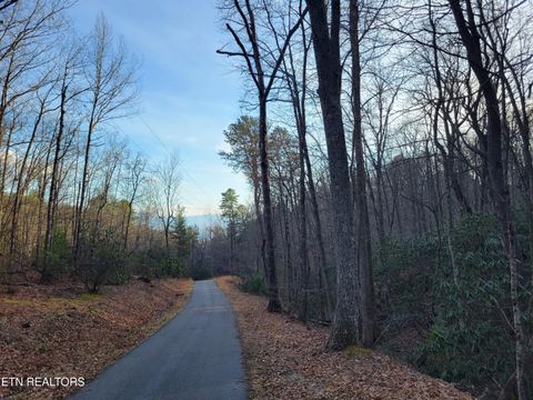 Tiny photo for 5 Swann Saddle, Sevierville, TN 37876 (MLS # 1331284)