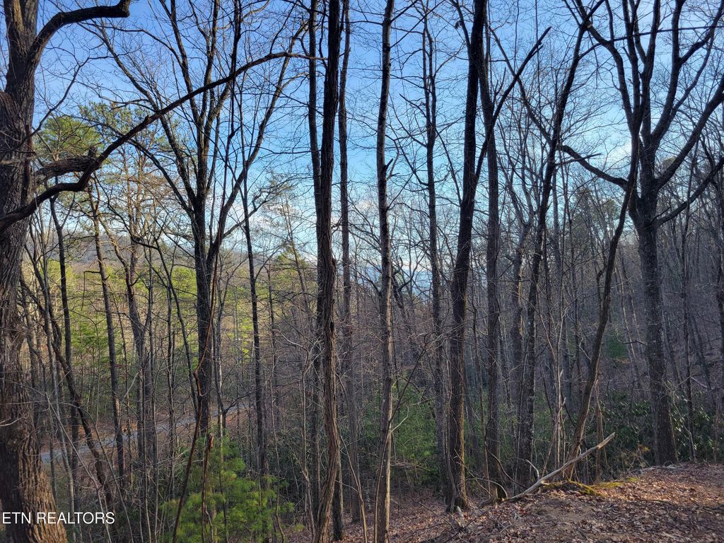 Photo of 5 Swann Saddle, Sevierville, TN 37876 (MLS # 1331284)