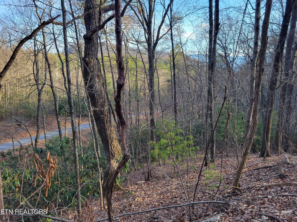 Photo of 5 Swann Saddle, Sevierville, TN 37876 (MLS # 1331284)
