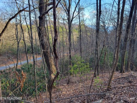 Tiny photo for 5 Swann Saddle, Sevierville, TN 37876 (MLS # 1331284)