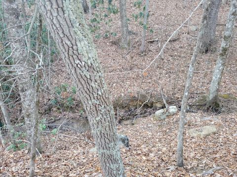 Tiny photo for 5 Swann Saddle, Sevierville, TN 37876 (MLS # 1331284)