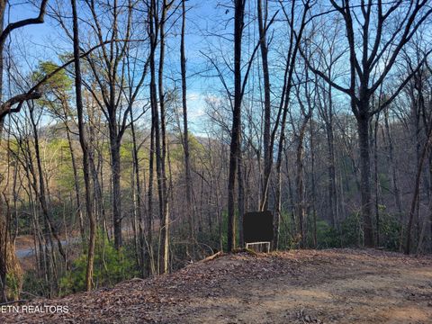 Tiny photo for 5 Swann Saddle, Sevierville, TN 37876 (MLS # 1331284)