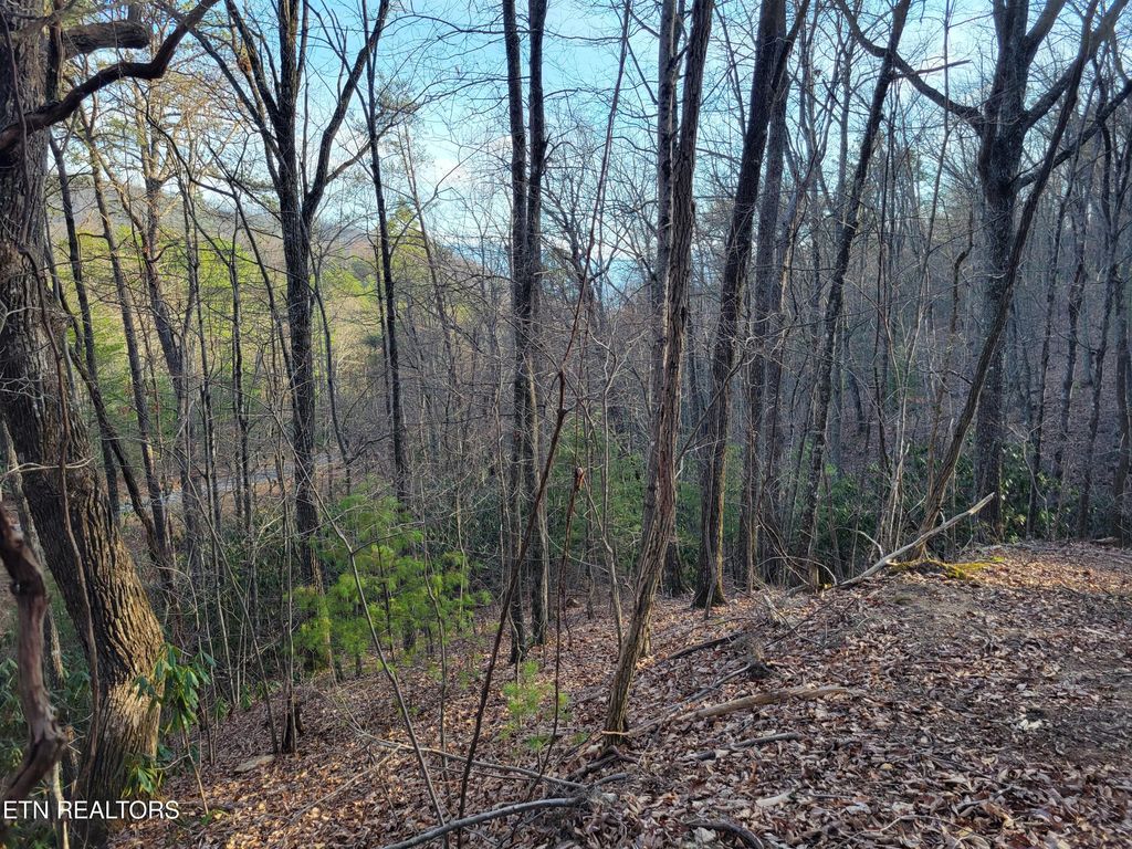 Photo of 5 Swann Saddle, Sevierville, TN 37876 (MLS # 1331284)