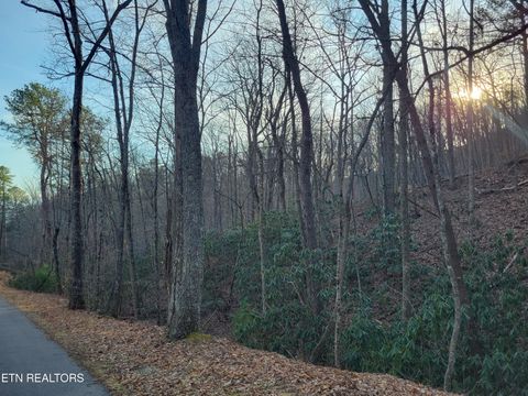Tiny photo for 5 Swann Saddle, Sevierville, TN 37876 (MLS # 1331284)