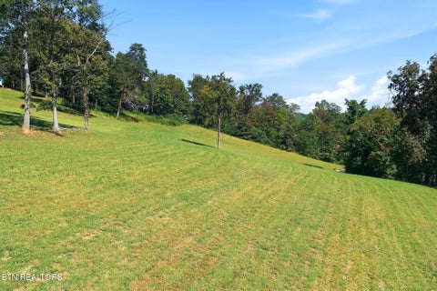 Tiny photo for 175230 Johnson Lane, Rocky Top, TN 37769 (MLS # 1357549)