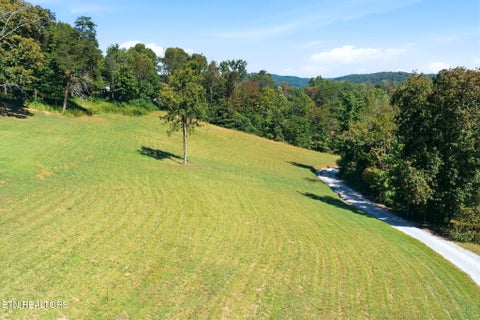 Tiny photo for 175230 Johnson Lane, Rocky Top, TN 37769 (MLS # 1357549)