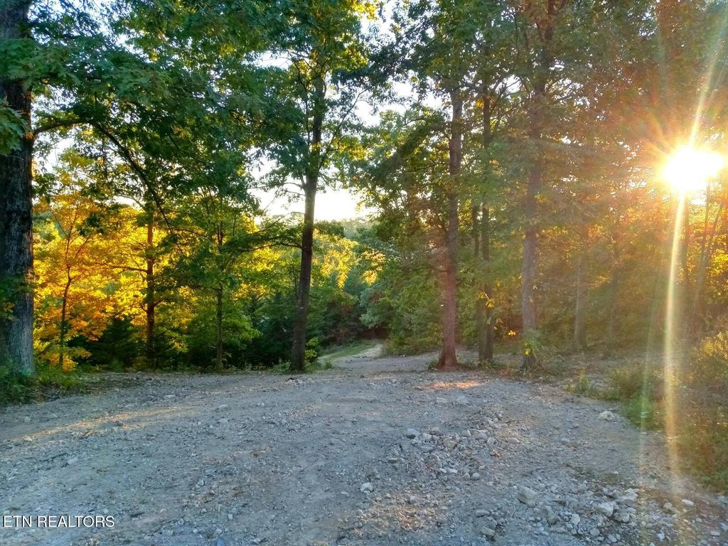 Photo of 7171 Vonore Rd, Loudon, TN 37774 (MLS # 1249243)