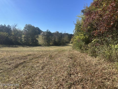 Tiny photo for 0 McGinnis Road, Corryton, TN 37721 (MLS # 1359824)