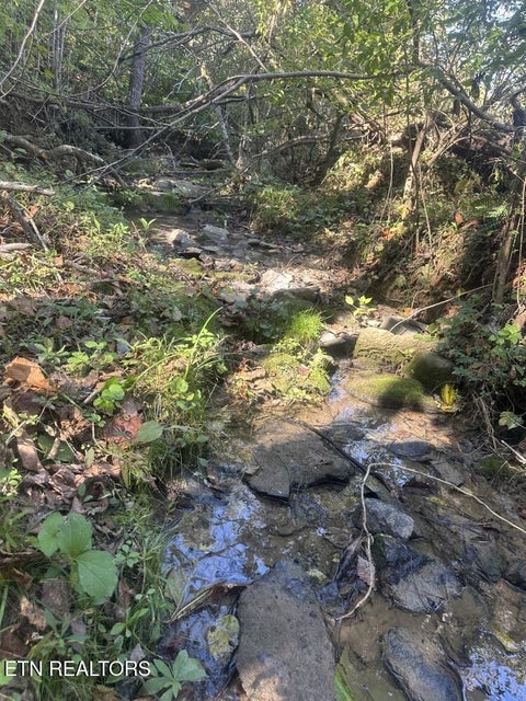 Tiny photo for 0 McGinnis Road, Corryton, TN 37721 (MLS # 1359824)