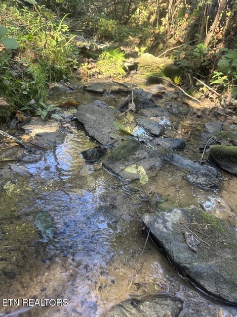 Tiny photo for 0 McGinnis Road, Corryton, TN 37721 (MLS # 1359824)